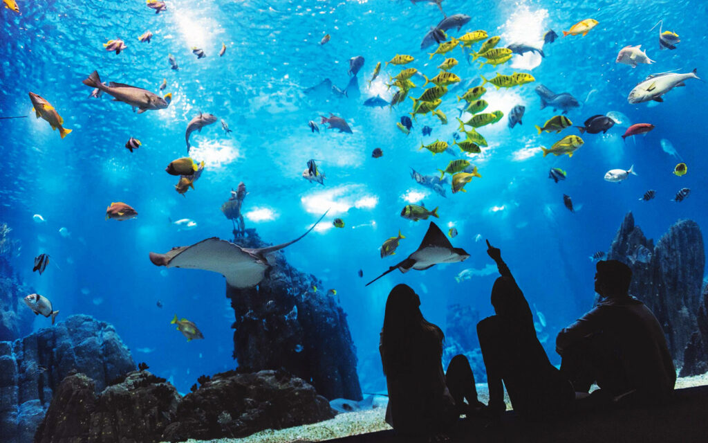 oceanarium-lisbon_Best_Winter_Activities_Children