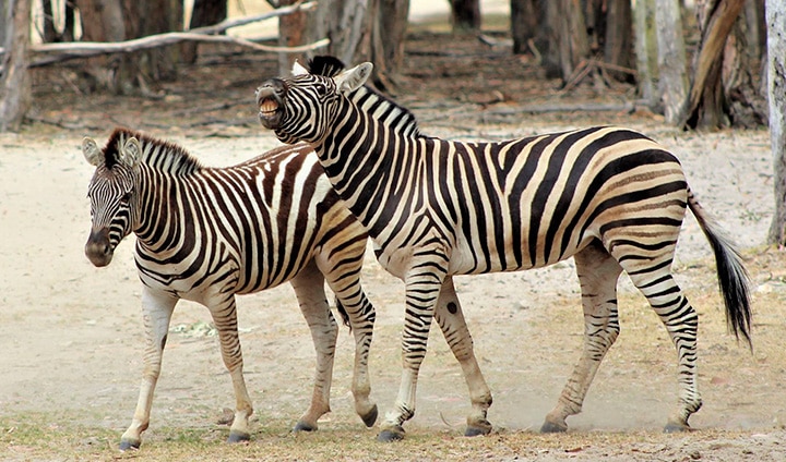 _Best_Winter_Activities_Children