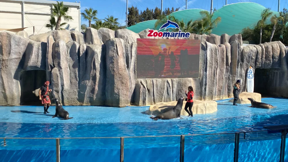 showzoomarine-_Best_Winter_Activities_Children